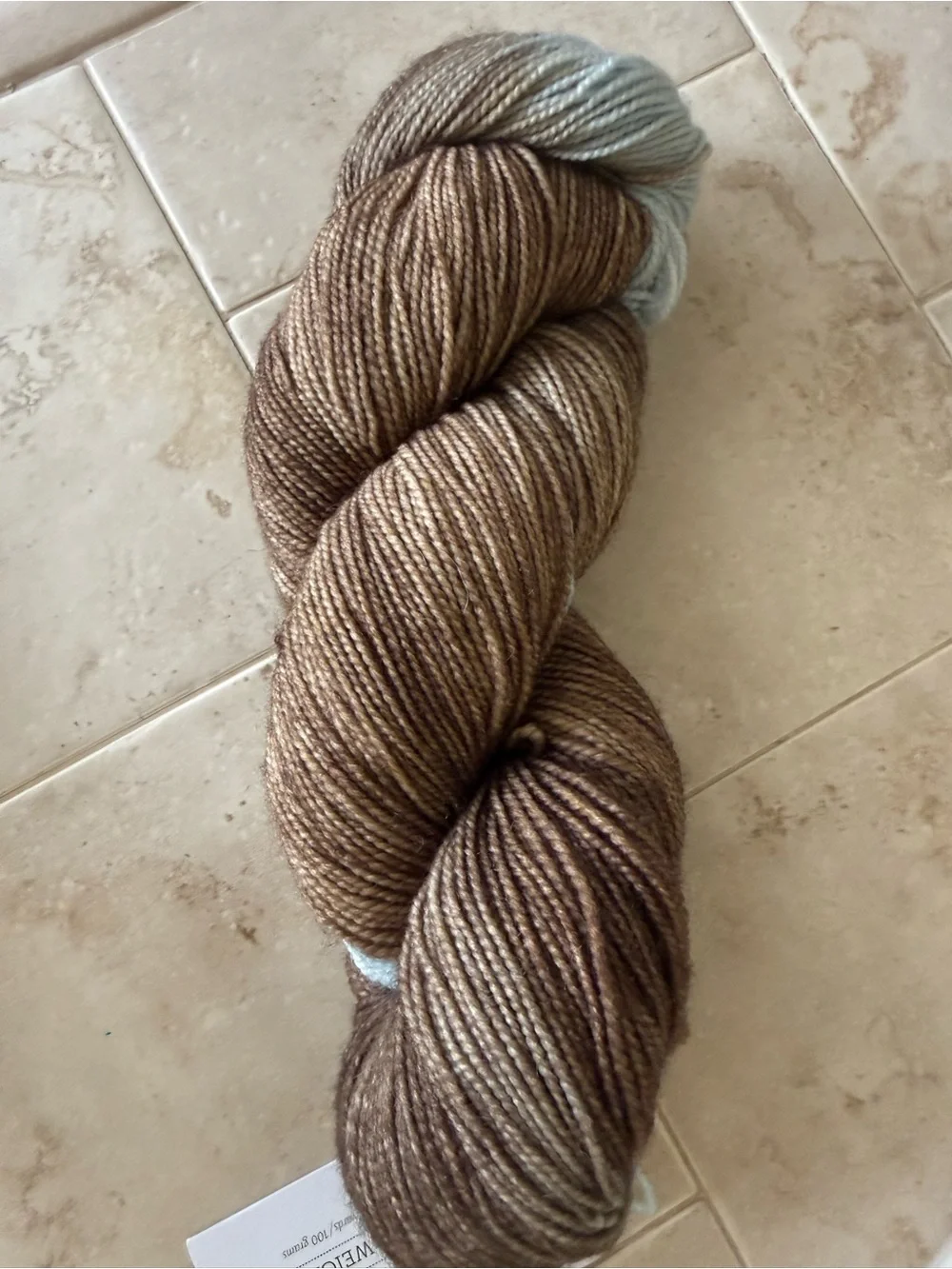 Hawthorne Brown & Light Blue Fingering Weight Yarn - Cathedral